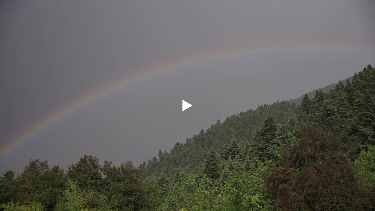 somewhere in arcadia video thumbnail